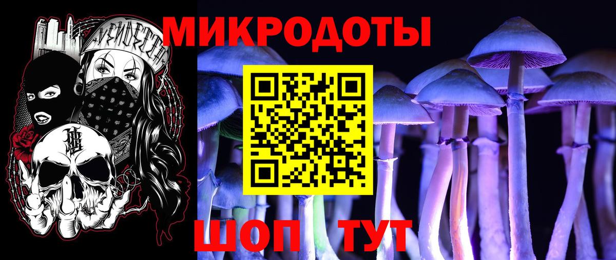 Галлюциногенные грибы Magic Shrooms Саратов