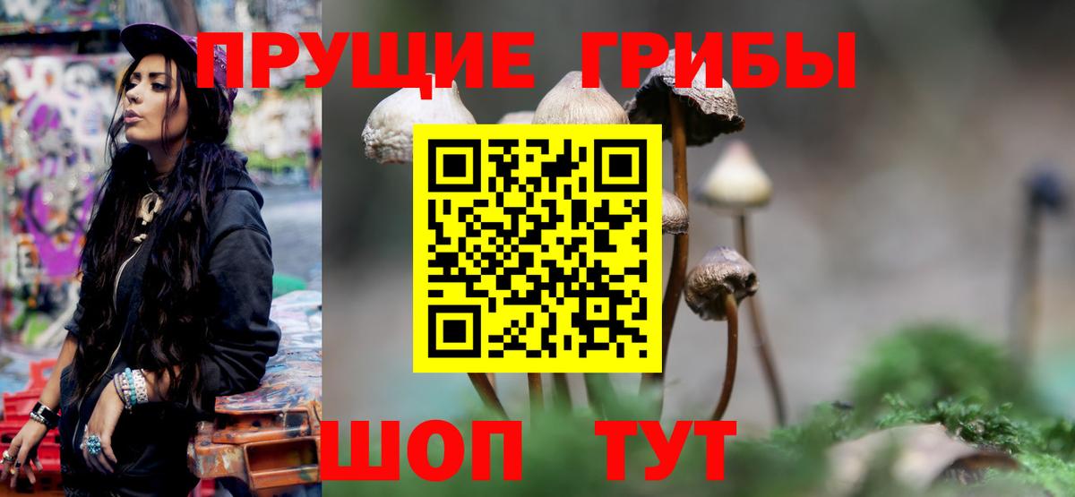 Галлюциногенные грибы мухоморы  Вход с VPN  Саратов 
